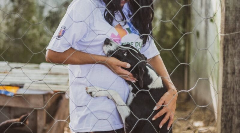 Em Pontal do Paraná Rede de Proteção Animal completa 2 anos