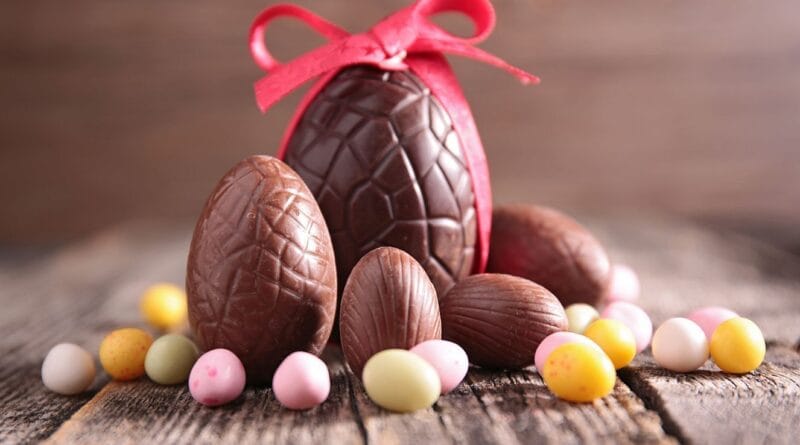 Consumo de chocolate é perigoso para os pets