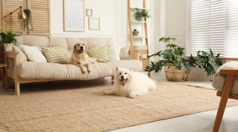 Plataforma transforma mercado Imobiliário com ação social