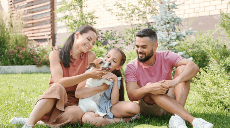 Proptech lança portal de imóveis com busca por pets