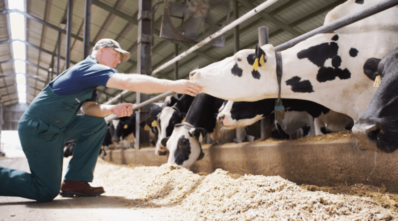 Elanco prevê crescimento global entre 2% e 3% para 2024