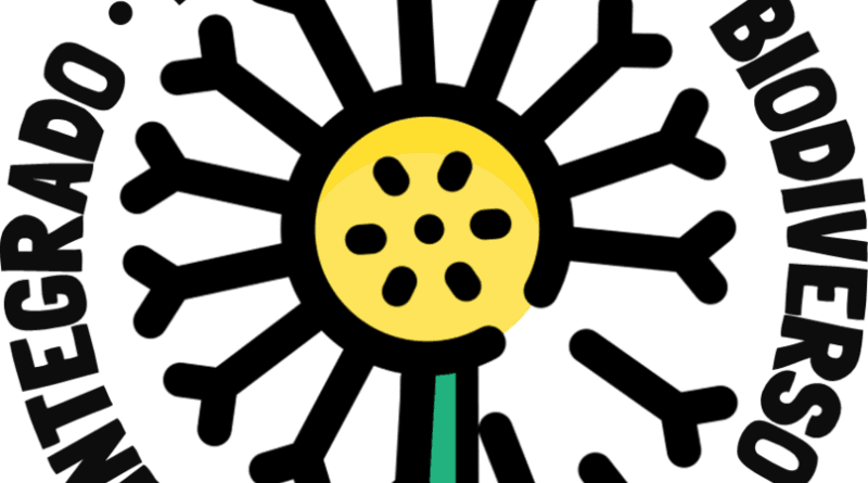 Startup lança projeto 