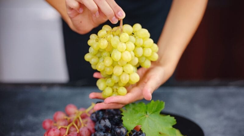 Estudo aponta que uvas fazem bem para a saúde do coração
