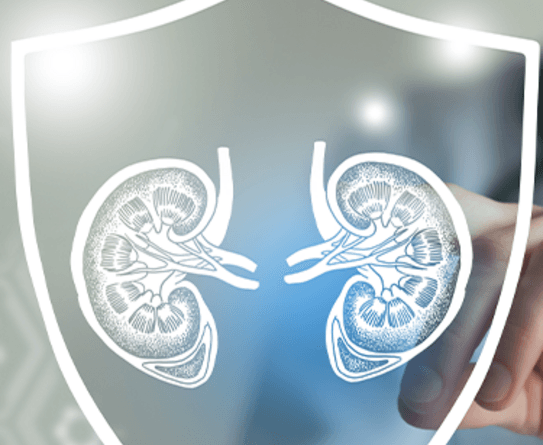 Especialista da Bayer explica a relação entre rins e coração