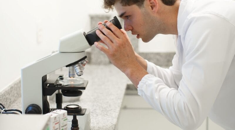 Estudos revelam novos benefícios da própolis