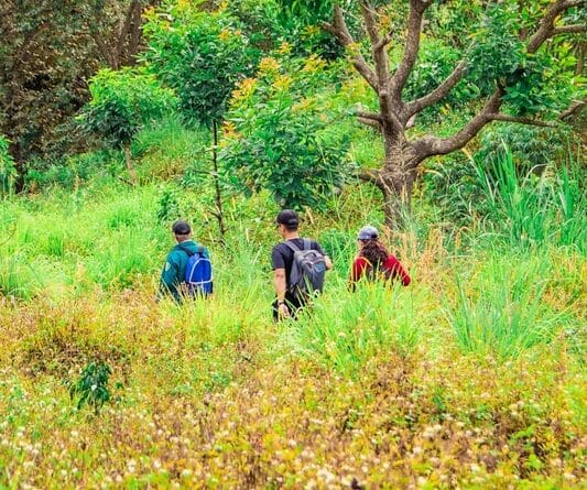 Turismo regenerativo coloca a natureza no centro desta atividade