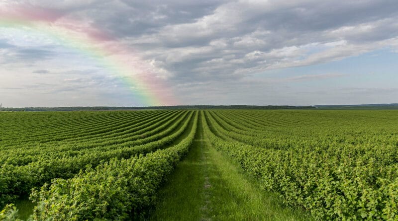 Agrolend reestrutura diretoria para focar em crescimento