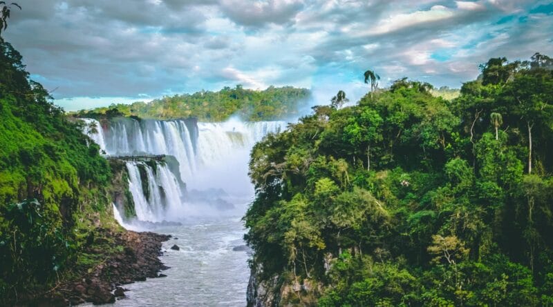 Mercado de crédito de carbono acelera no Brasil