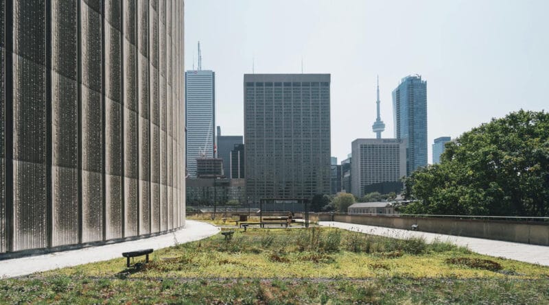 IBRI: programa TOP está com inscrições abertas até 30 de maio de 2025