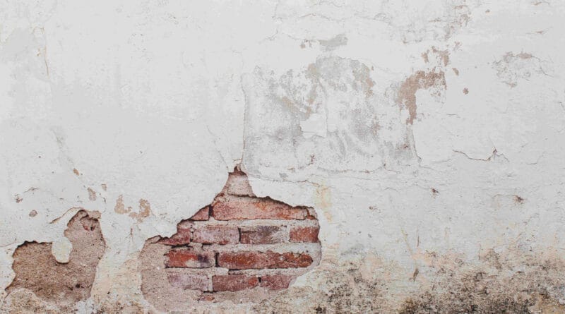 Dia Nacional de Prevenção da Alergia: Vedacit dá dicas para evitar mofo