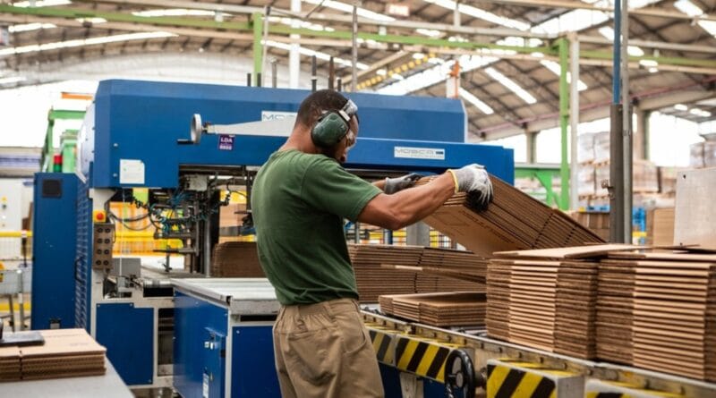 Setor de embalagens se transforma com a sustentabilidade