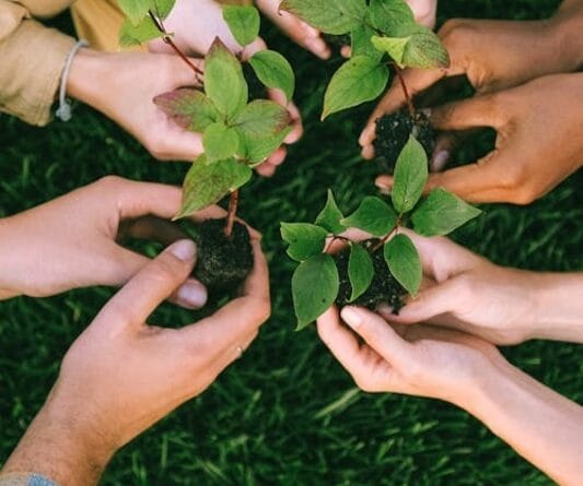 Dia Nacional da Mata Atlântica é comemorado em 27 de maio