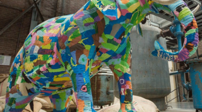 ONG queniana Ocean Sole é um dos destaques da Bienal do Lixo