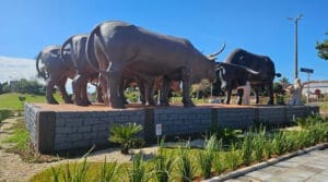 Monumento ao Boi Soberano é a nova atração de Barretos
