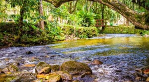 Mongaguá promove evento 