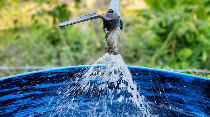 Cinco dicas para economizar água durante as ondas de calor