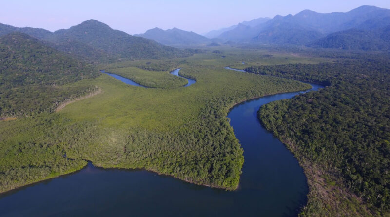 Quando visitar Peruíbe: veja a melhor época para aproveitar o litoral