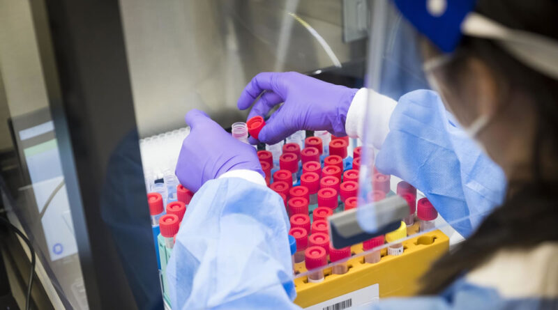 Diagnóstico molecular revoluciona saúde íntima feminina