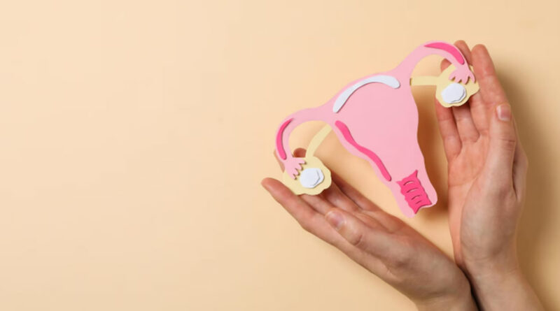 DIU: 6 mitos e verdades sobre esse método contraceptivo
