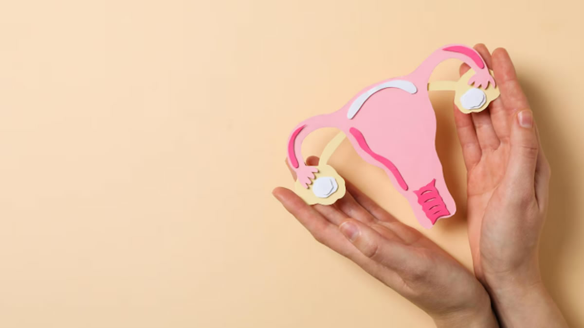 DIU: 6 mitos e verdades sobre esse método contraceptivo