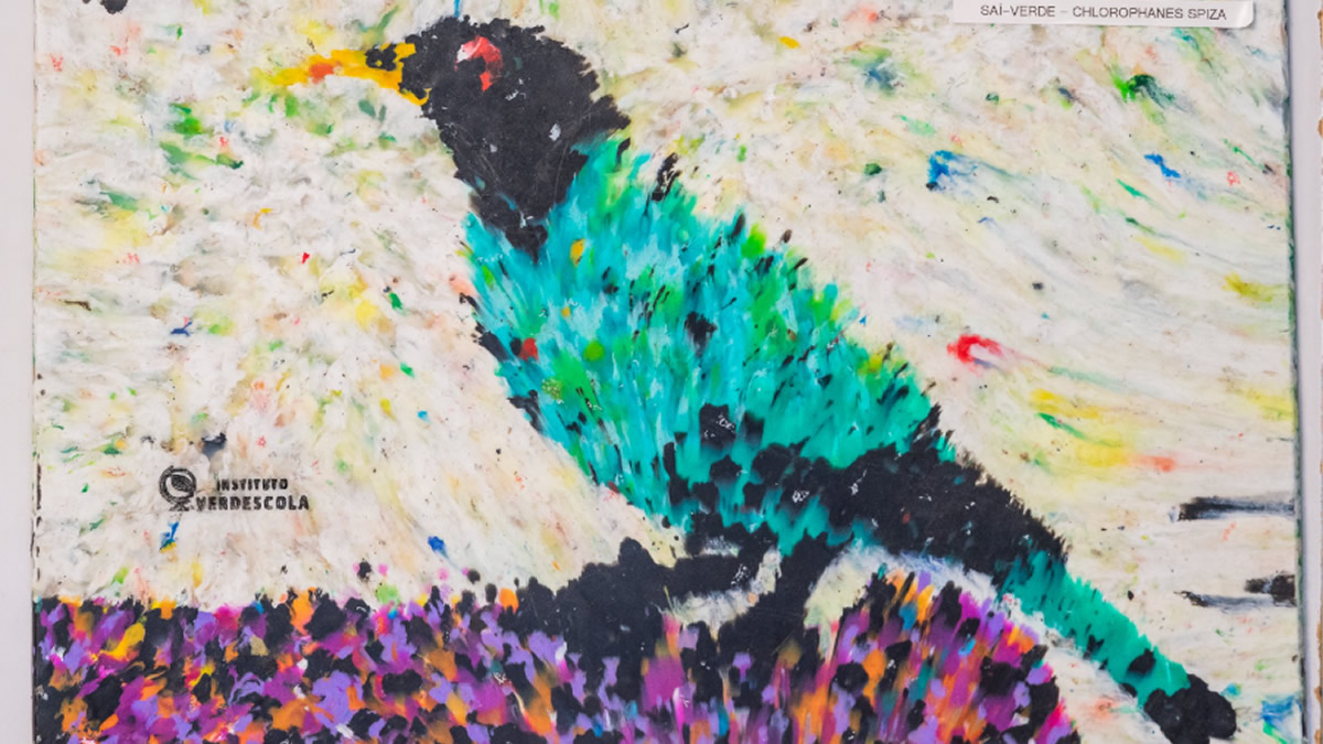 Verdescola apresenta Ateliê da Reciclagem ao 1º Festival de Observação de Aves de São Sebastião