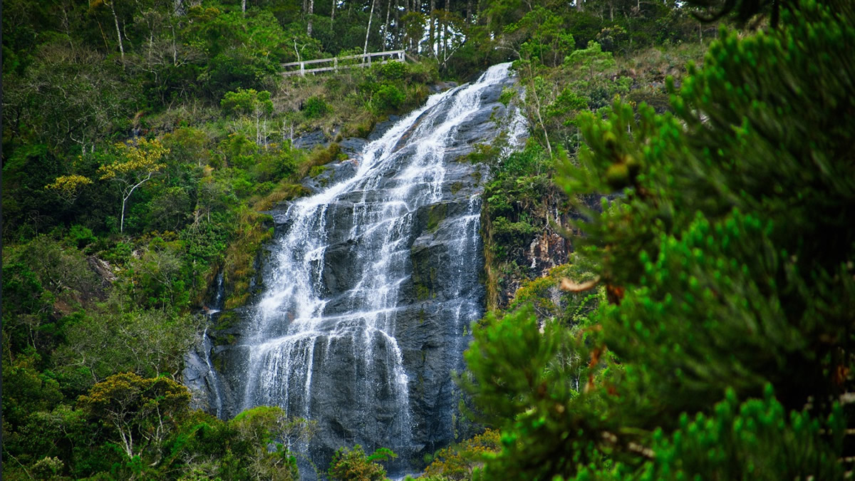 SP investe no turismo de natureza com trilhas, parques e roteiros de ecoturismo