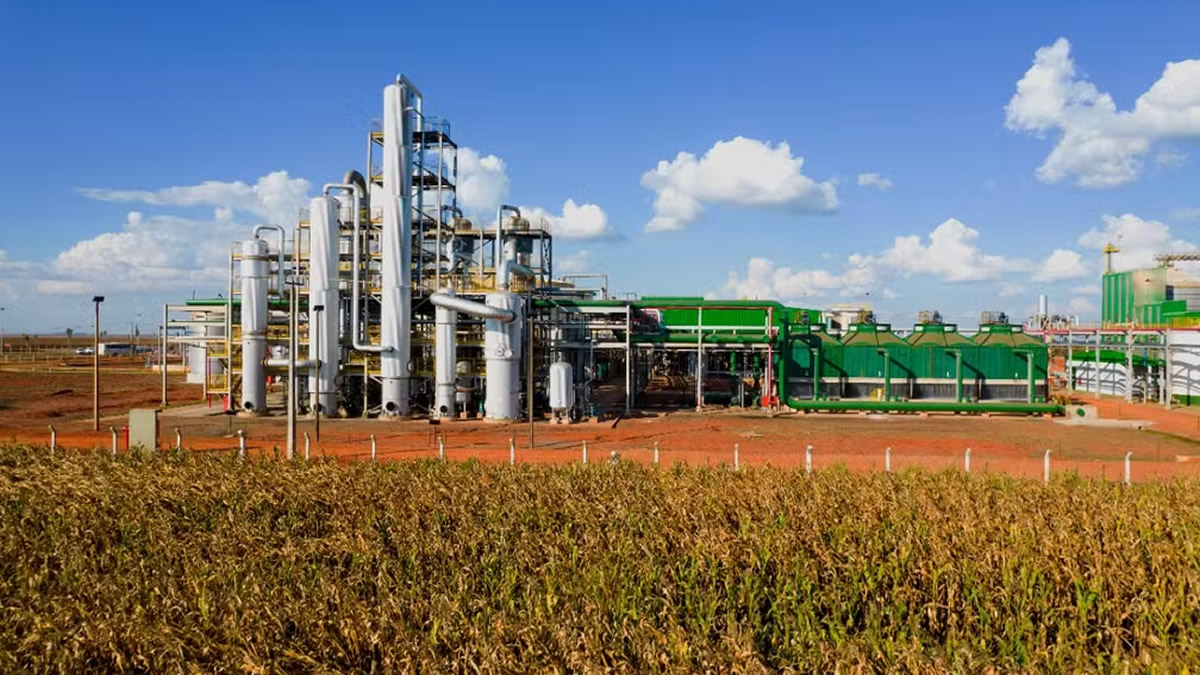 Lallemand aproxima áreas de biocombustíveis, nutrição animal e microbiologia para ampliar oportunidades no agro brasileiro